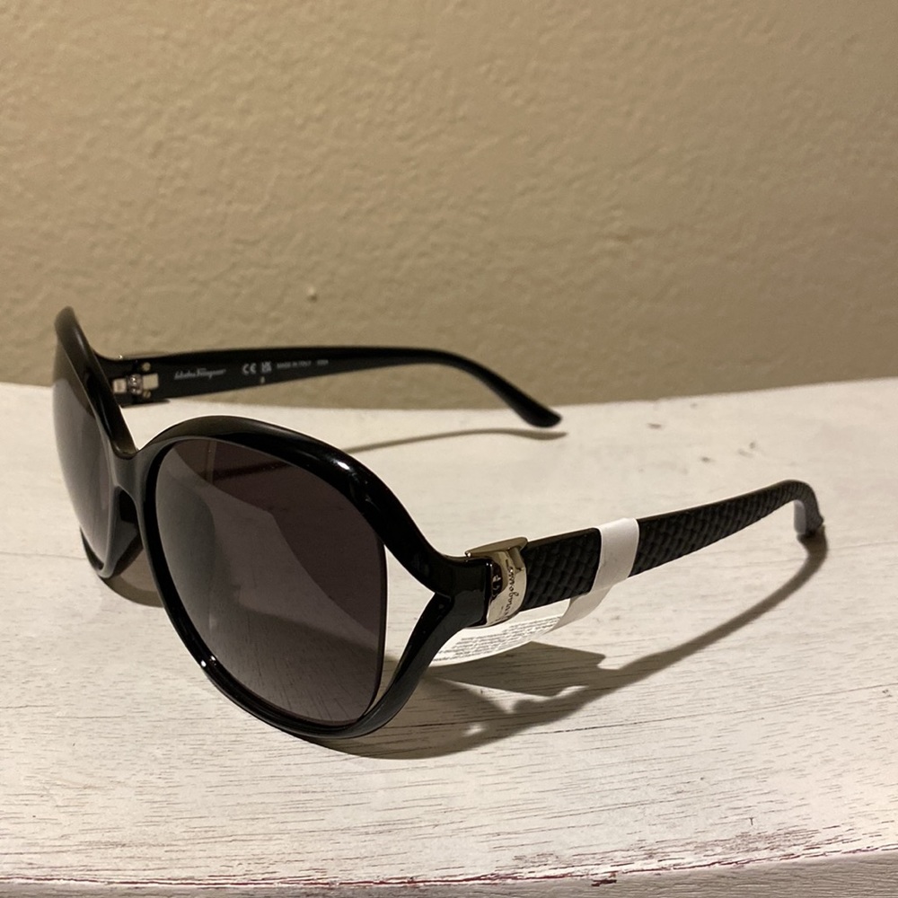 Salvatore Ferragamo Women’s Sunglasses